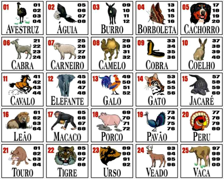 Palpitão do Dia