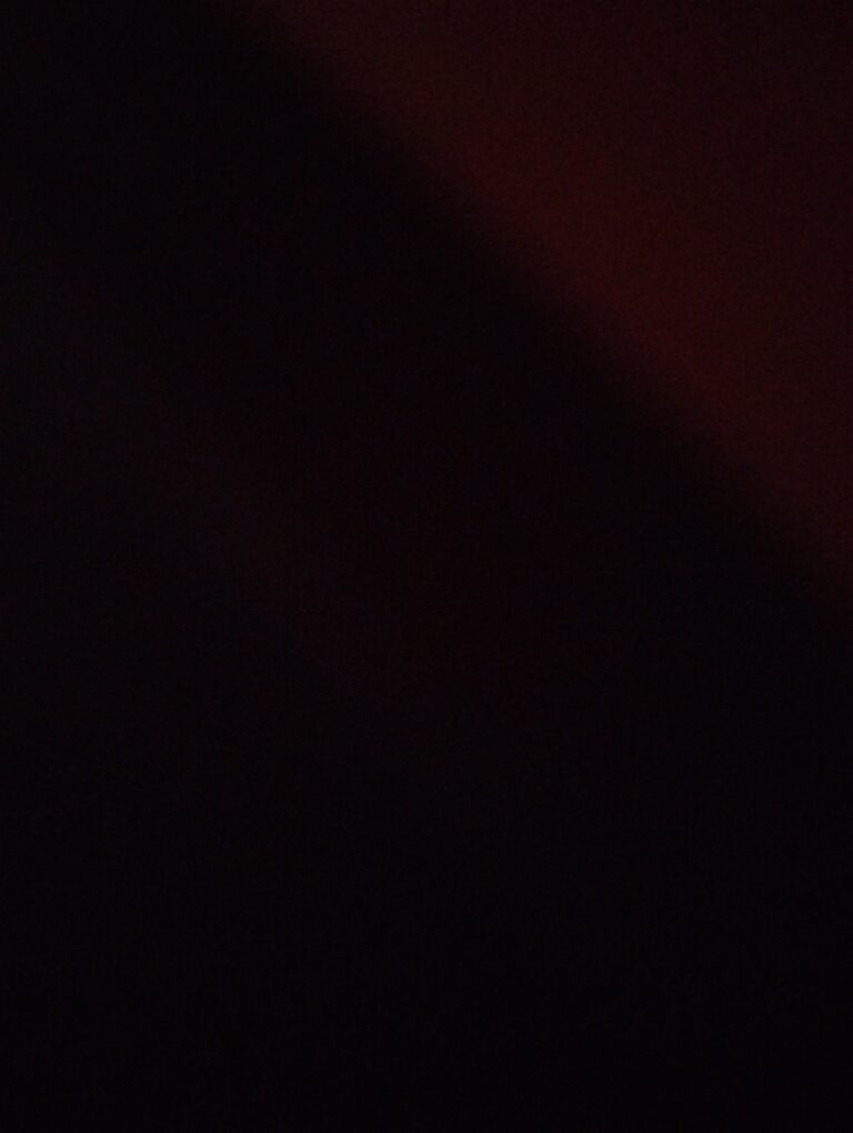 Chat da kali