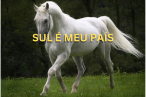 SUL É O MEU PAÍS
