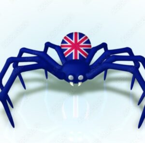 Spider English