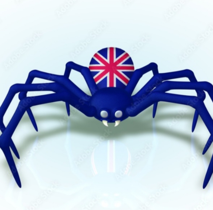 Spider English