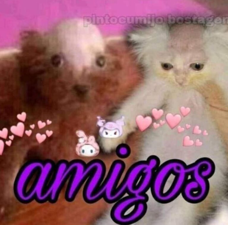 Álbum da Grande Família
