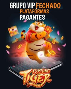 GRUPO VIP FECHADO PLATAFORMAS PAGANTES.