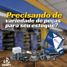 AUTO PEÇAS NACIONAL E IMPORTADOS