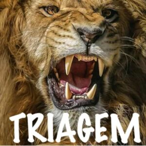 Triagem namoro com propósito