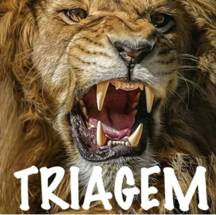 Triagem namoro com propósito