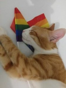 Laços