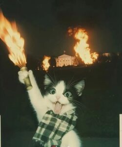 Tropa das figurinhas