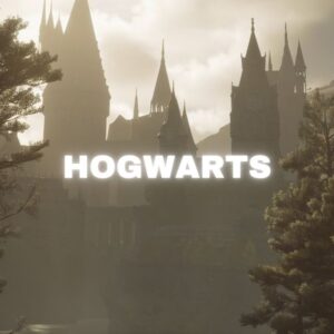 Harry Potter, Hogwarts school