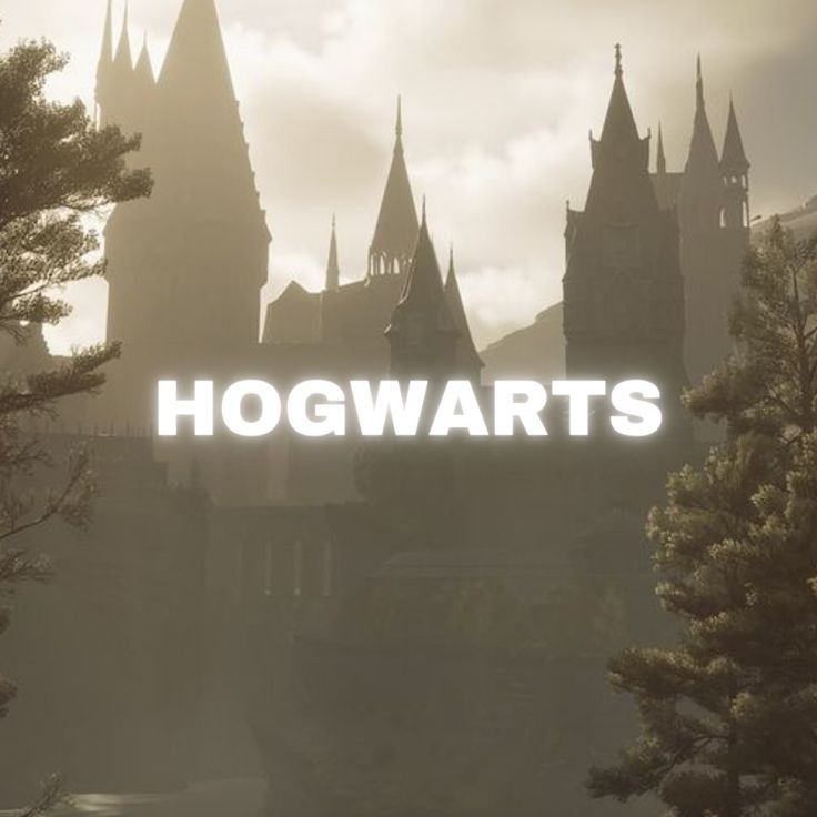 Harry Potter, Hogwarts school