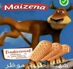 PARA LANCHES
