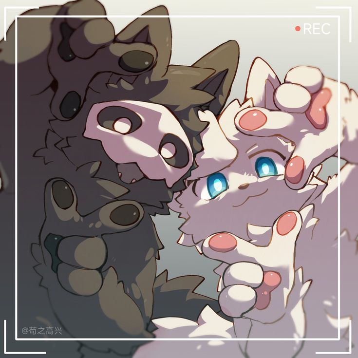 FurZone BR
